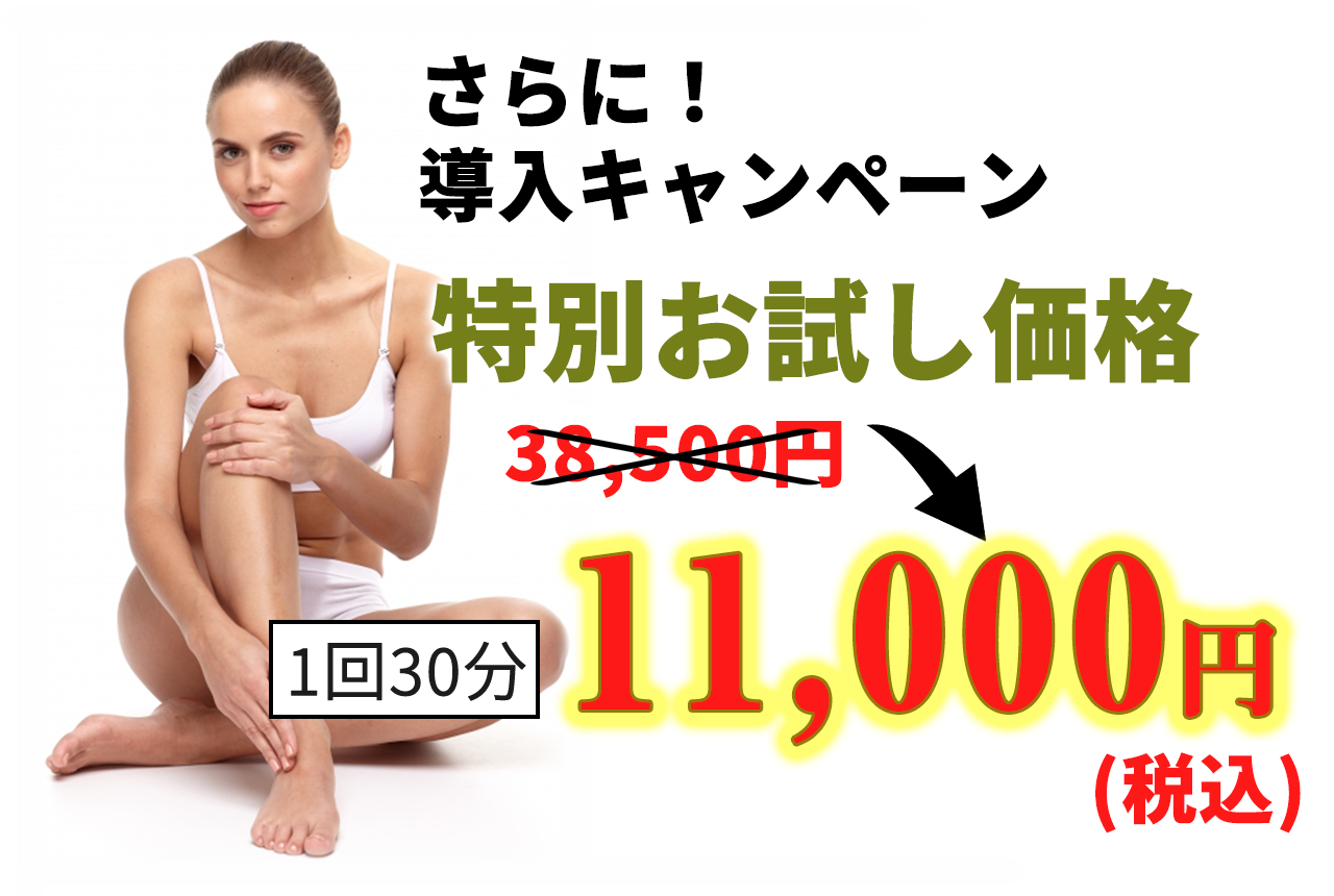 さらに！ エムスレンダー導入キャンペーン特別お試し価格でご提供！